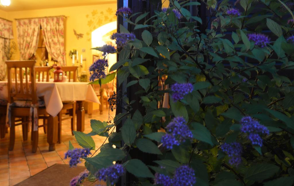 שצ'קלארסקה פוראובה Hotel Magnes מראה חיצוני תמונה